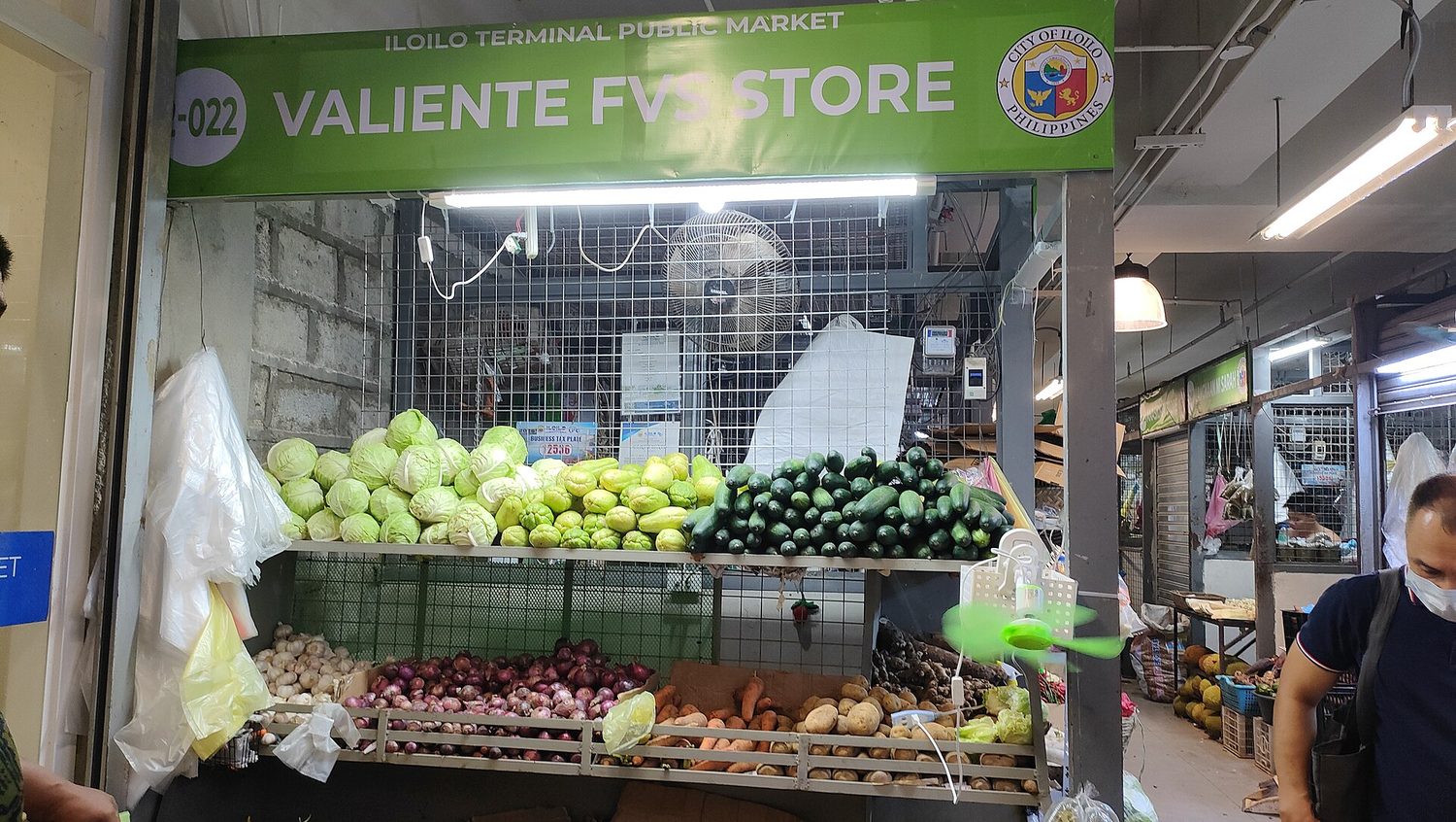 A spread of fresh fruit and vegetables