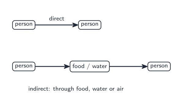 Direct contact passes a pathogen straight between people; indirect spread is through food, water or air