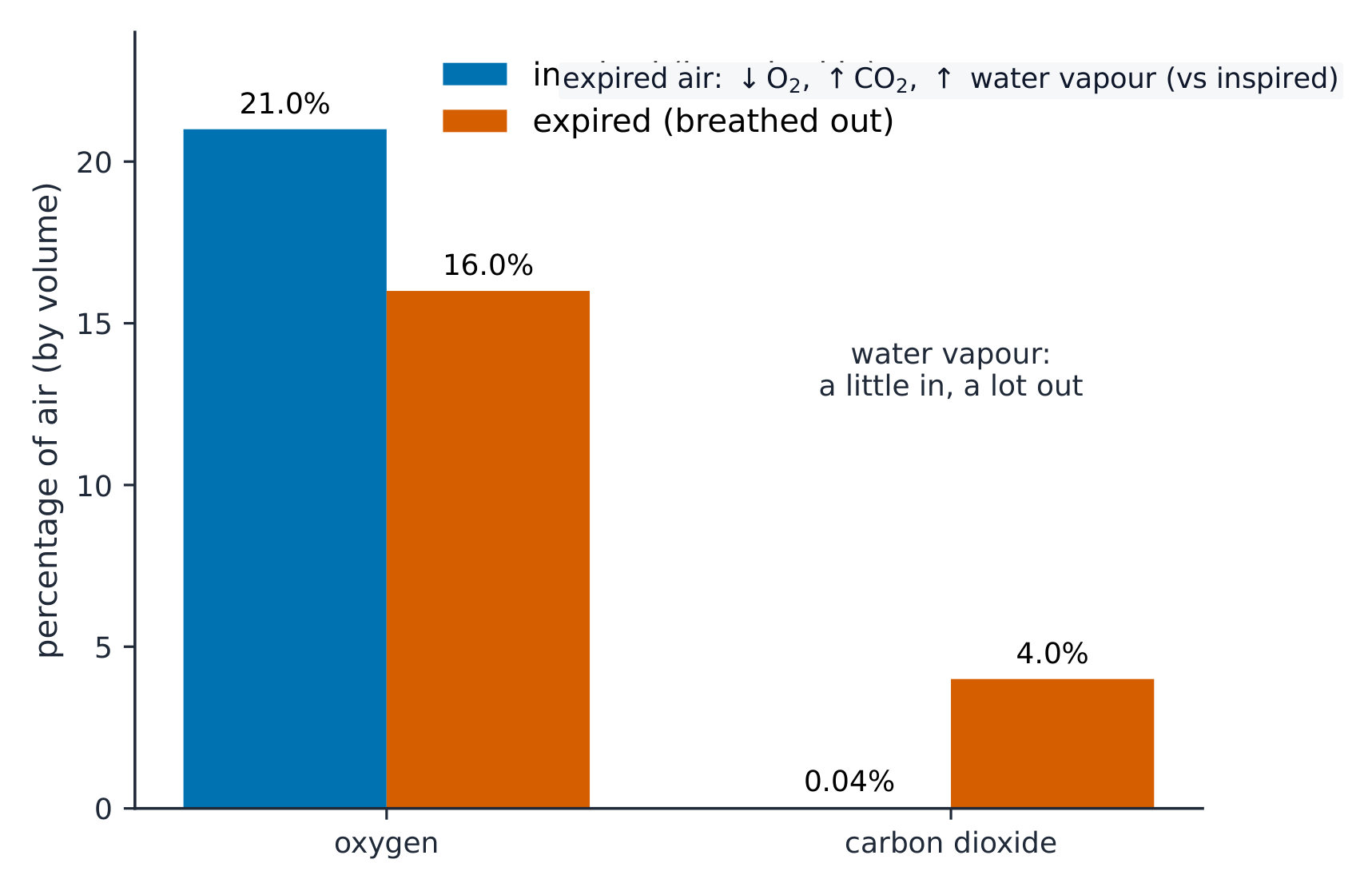 A bar chart comparing inspired and expired air: oxygen falls from 21% to 16%, carbon dioxide rises from 0.04% to 4%, and water vapour rises from a little to a lot