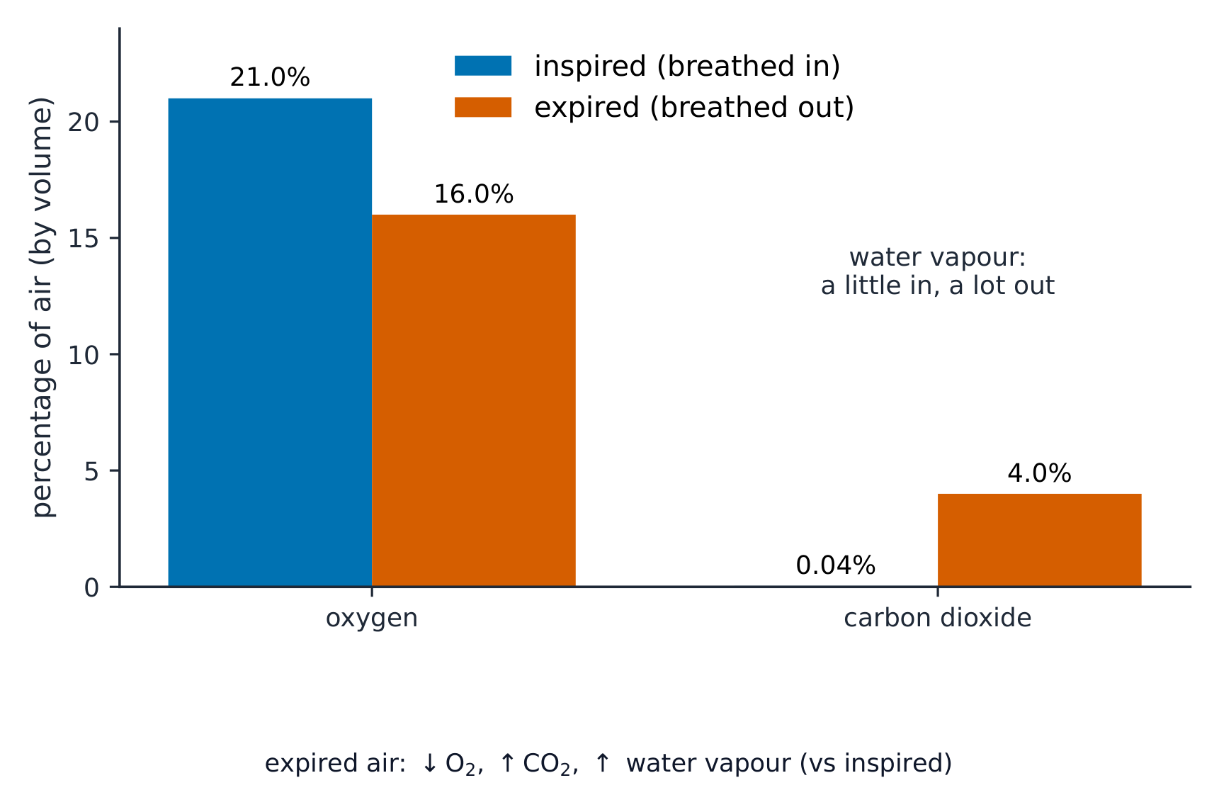 Un gráfico de barras que compara el aire inspirado y espirado: el oxígeno desciende del 21% al 16%, el dióxido de carbono asciende del 0,04% al 4%, y el vapor de agua aumenta de algo a mucho