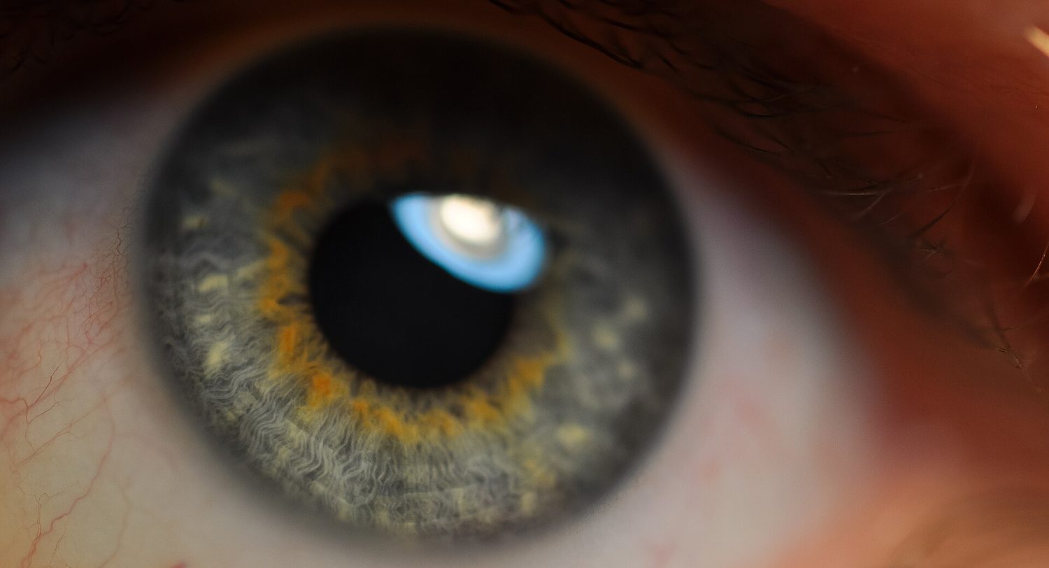 Macro photograph of a real human eye showing the black pupil, the patterned coloured iris and the white sclera