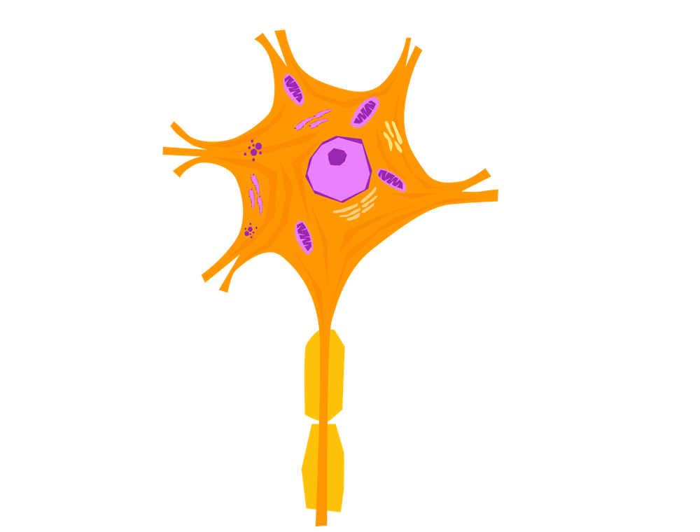 Gambar mikroskopis sebuah neurone