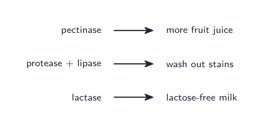 Enzymes used in industry