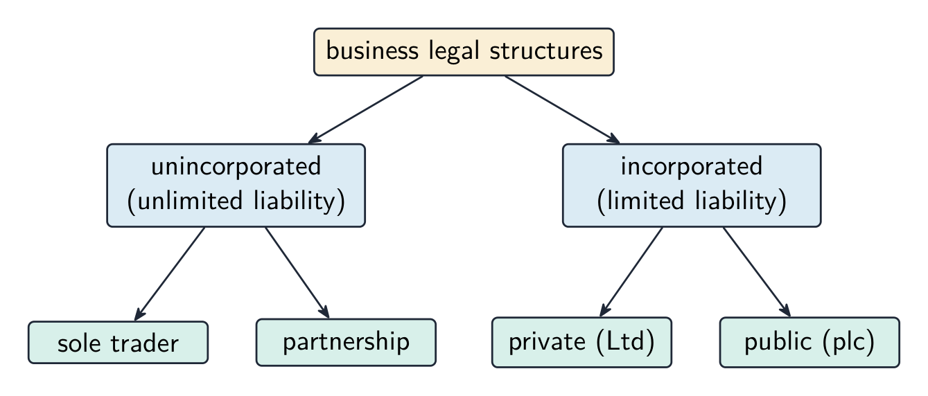 Tree classifying business types into unincorporated (sole trader, partnership) with unlimited liability and incorporated (private Ltd, public plc) with limited liability