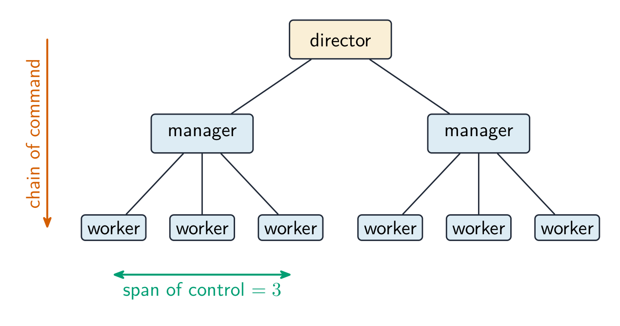 Organisation chart with a director over two managers, each in charge of three workers, marking the chain of command and a manager's span of control
