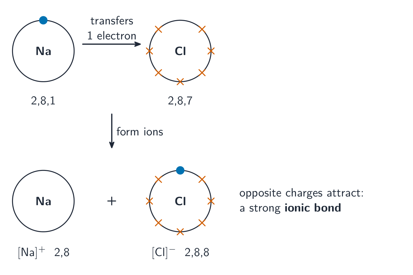 Sodium gives its outer electron to chlorine; both reach full outer shells and the opposite charges attract