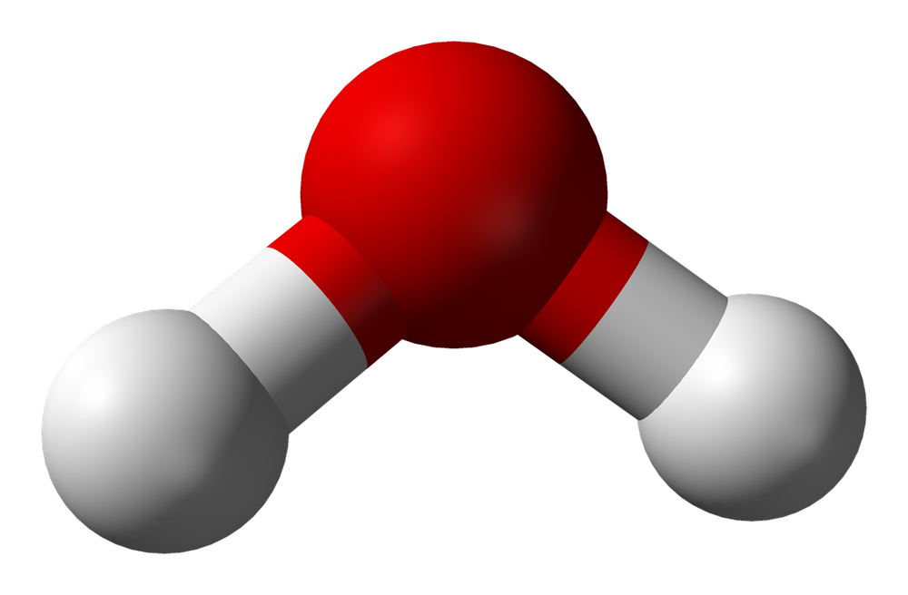 A model of a water molecule: atoms share electrons in covalent bonds