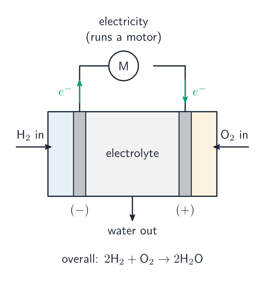 A hydrogen fuel cell runs on a redox reaction: hydrogen is oxidised and oxygen is reduced