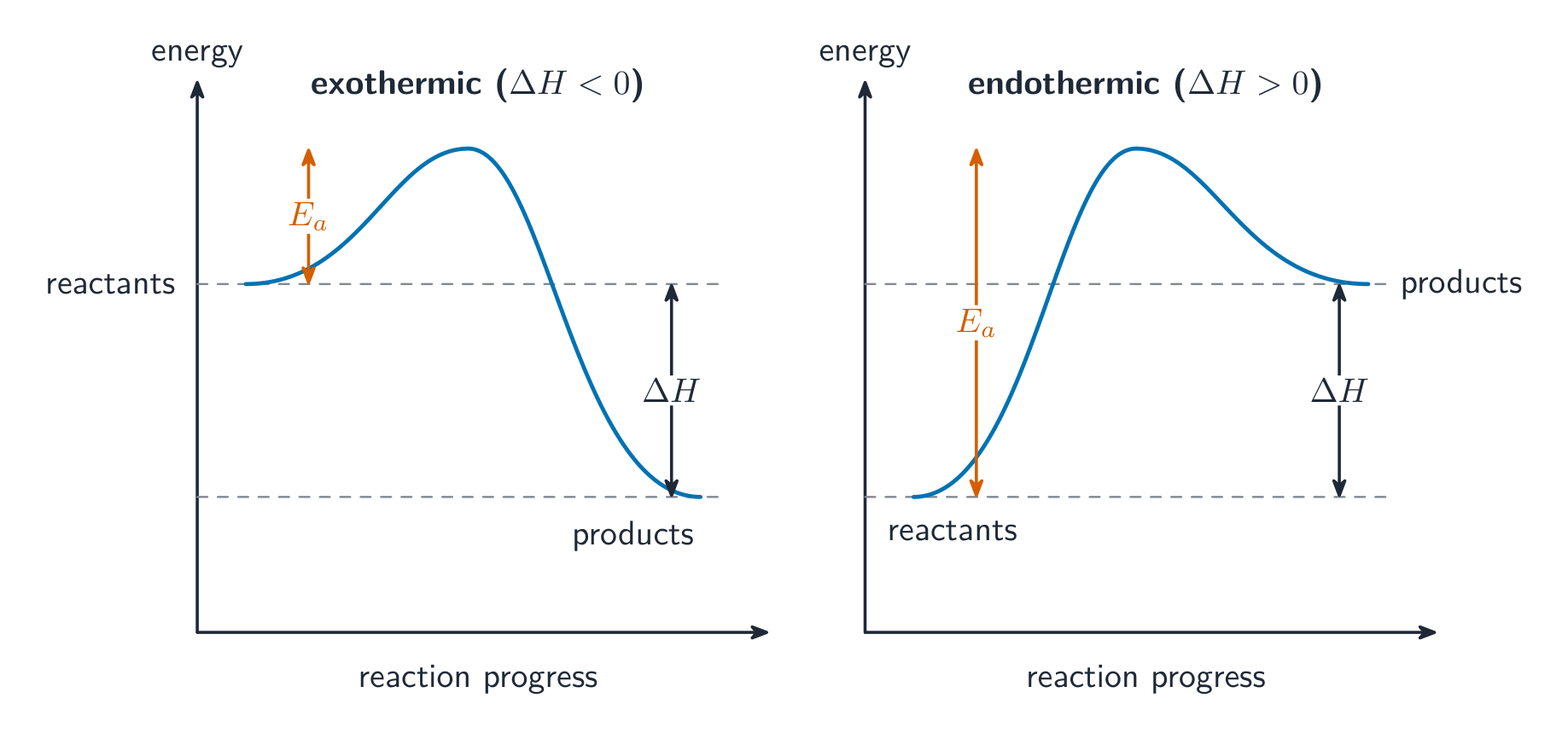 Two reaction pathway diagrams: an exothermic one with products below the reactants and an endothermic one with products above