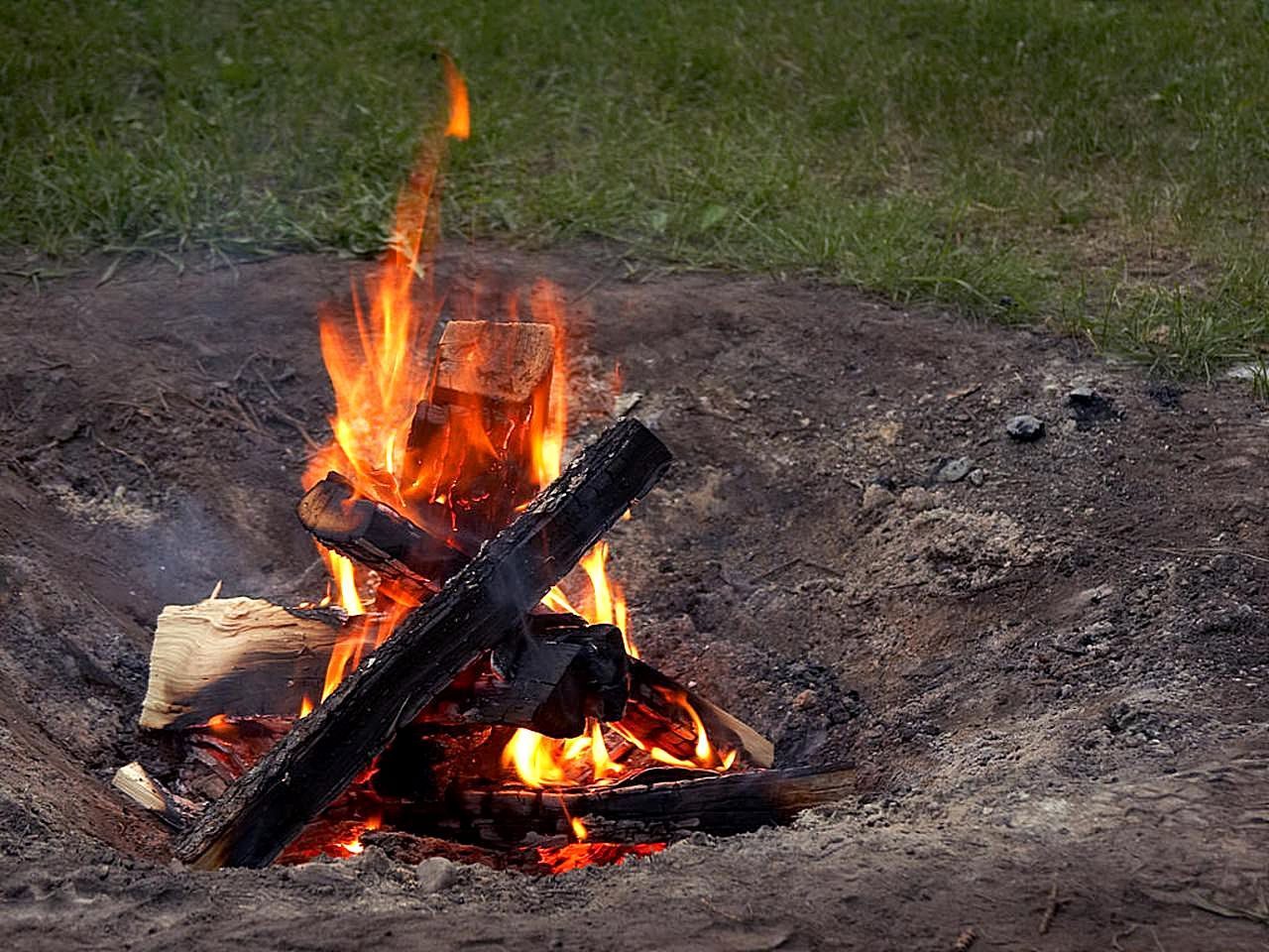 La madera ardiendo es exotérmica, liberando calor al entorno