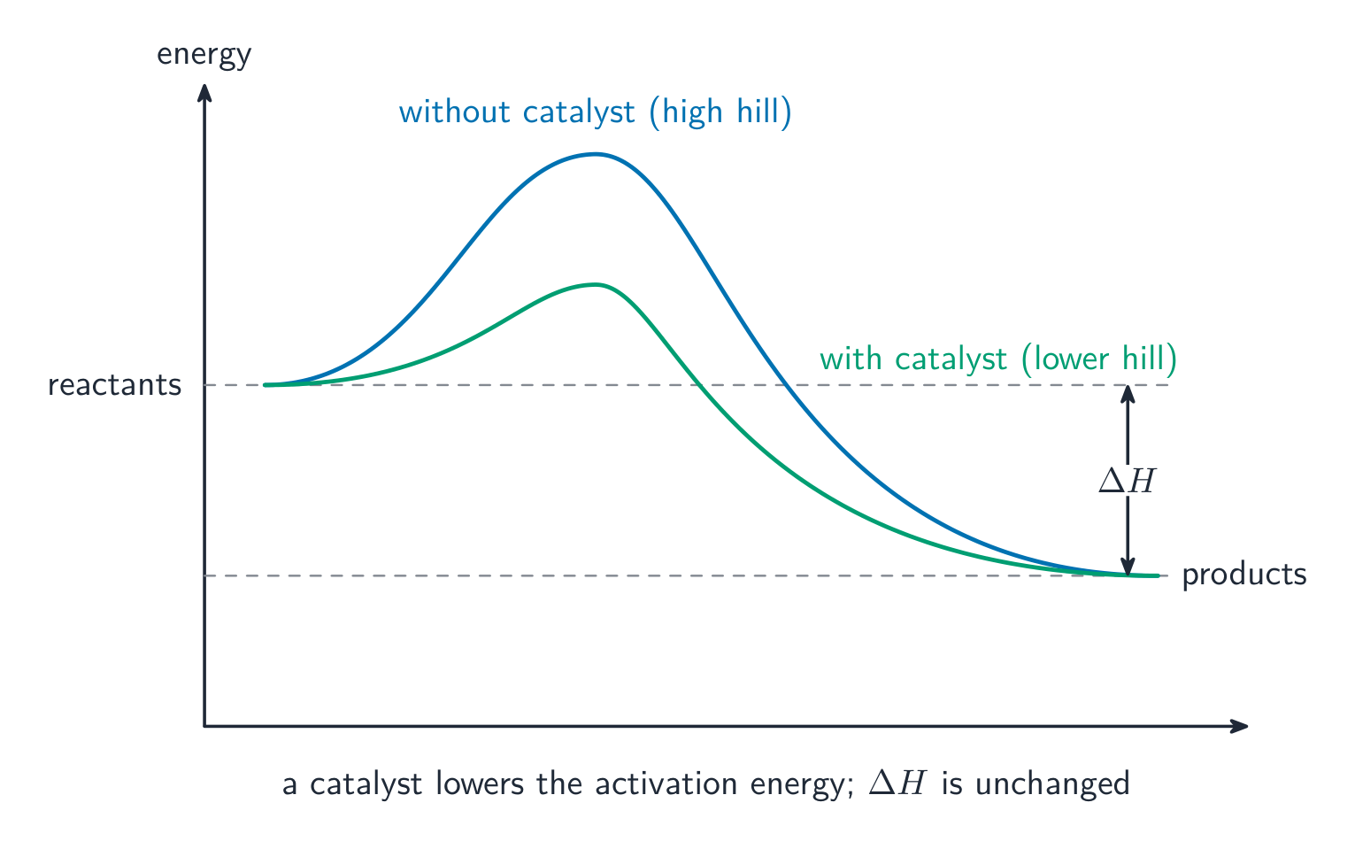 A reaction pathway with a high hill without a catalyst and a lower hill with a catalyst, both ending at the same products