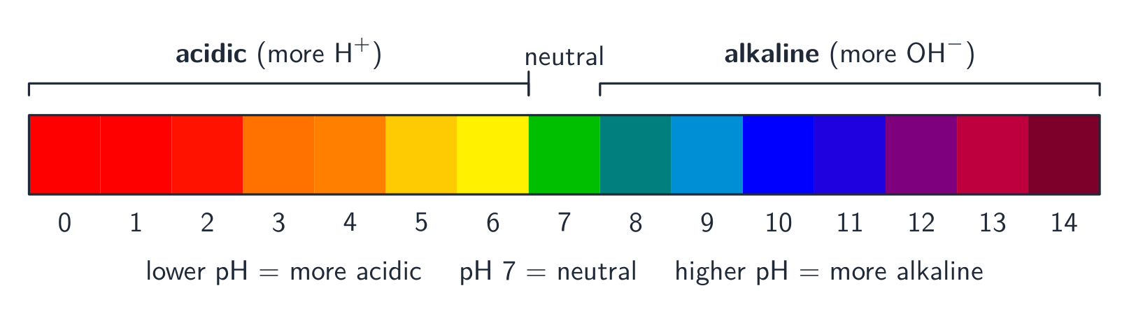 The pH scale: below 7 is acidic, 7 is neutral, above 7 is alkaline