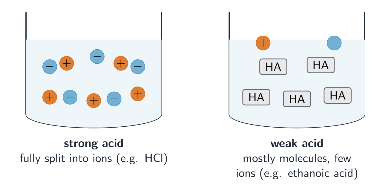 A strong acid is fully split into ions; a weak acid stays mostly as molecules