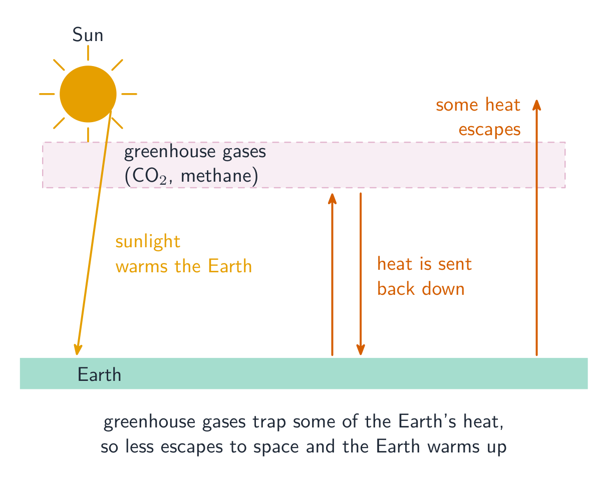 Sunlight passes through the atmosphere to warm the Earth, which gives off heat; greenhouse gases absorb some of that heat and send it back down