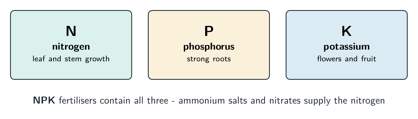 Three cards for NPK: N nitrogen for leaf and stem growth, P phosphorus for strong roots, K potassium for flowers and fruit