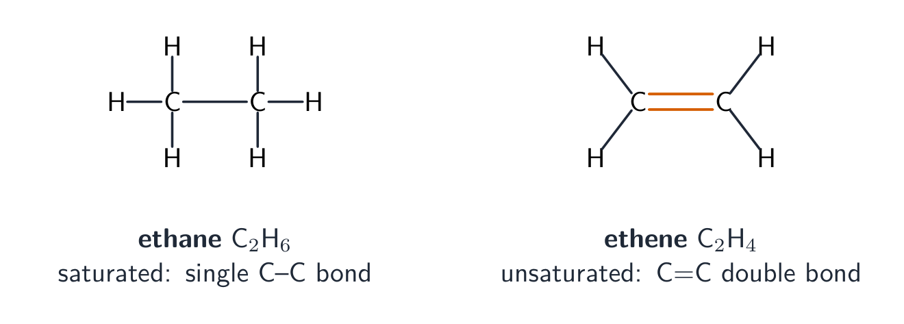 Alkenes are unsaturated — they contain a C=C double bond, unlike the saturated alkanes