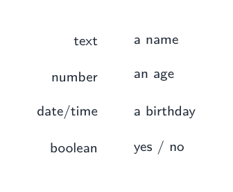 Field types: text (a name), number (an age), date/time (a birthday), boolean (yes/no)