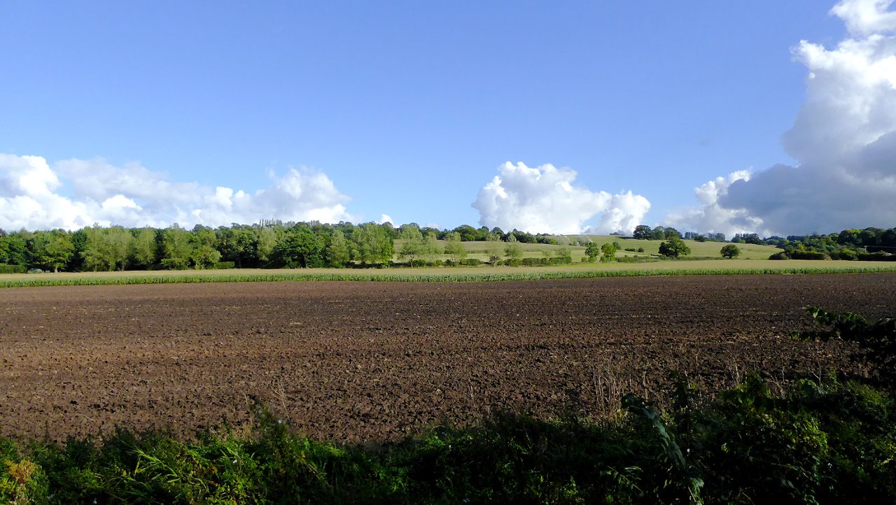 Green farmland fields stretching into the distance