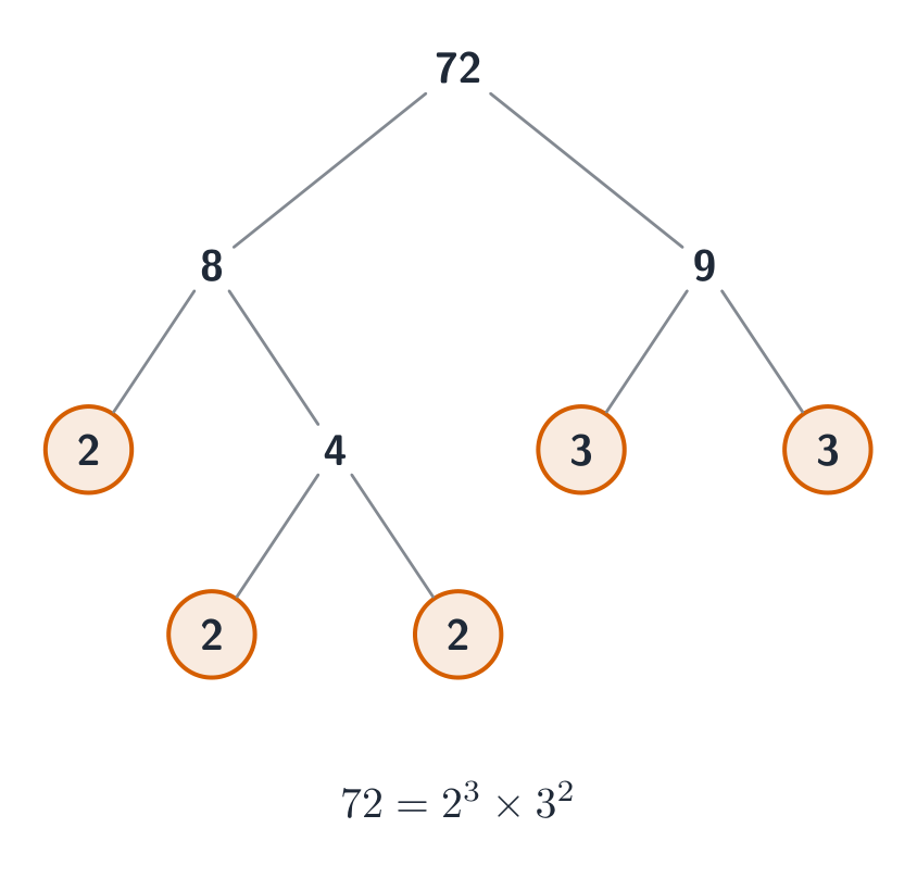 A factor tree for 72: it splits into 8 and 9, then down to the circled primes 2, 2, 2 and 3, 3