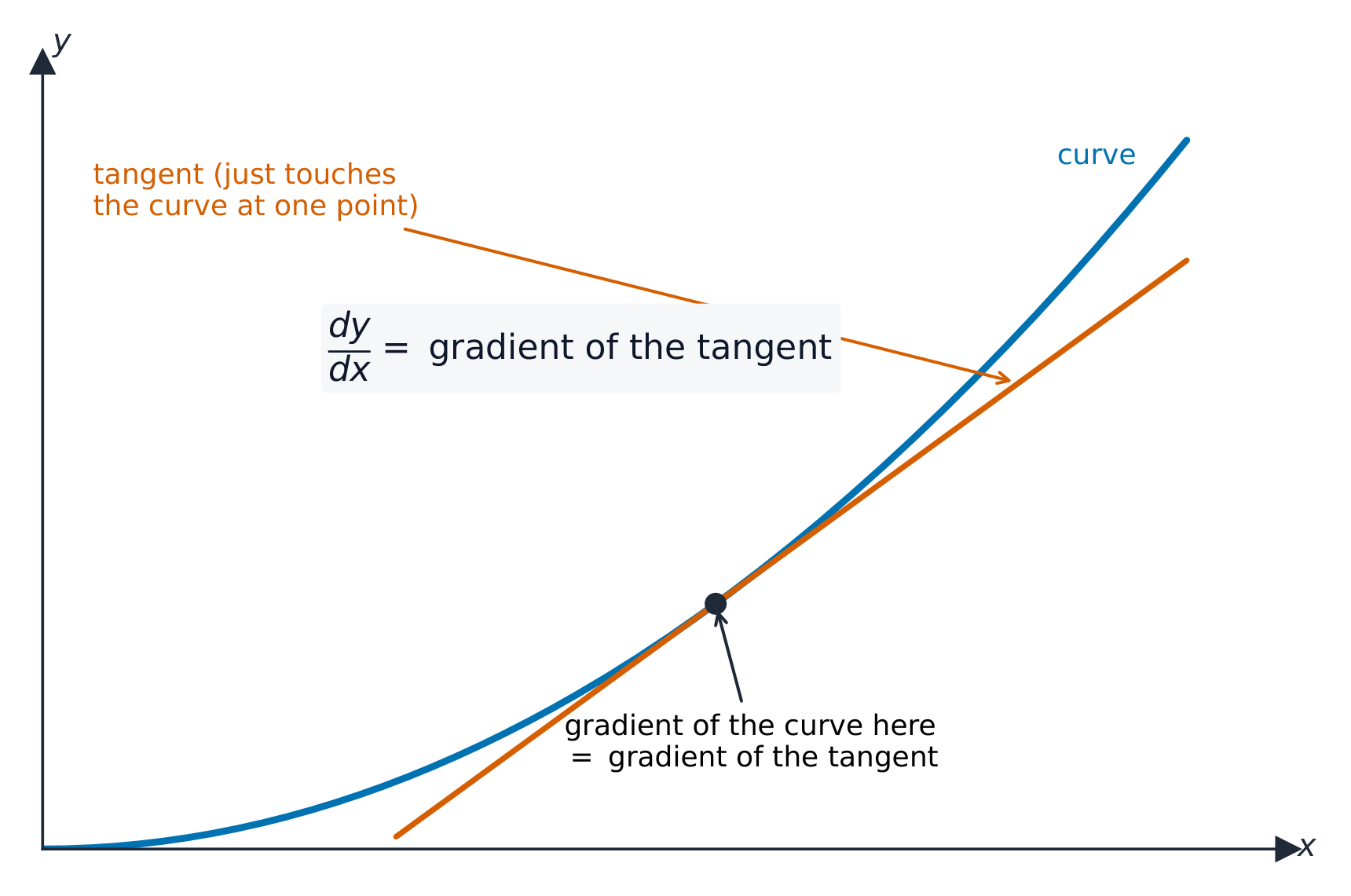 A curve with a straight tangent line touching it at one marked point