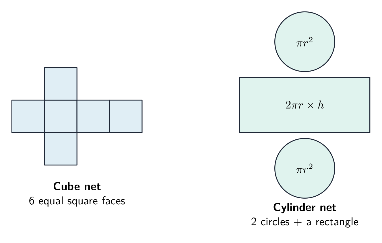 A cube net of six equal square faces, and a cylinder net of two circles each pi r squared and a rectangle of 2 pi r by h