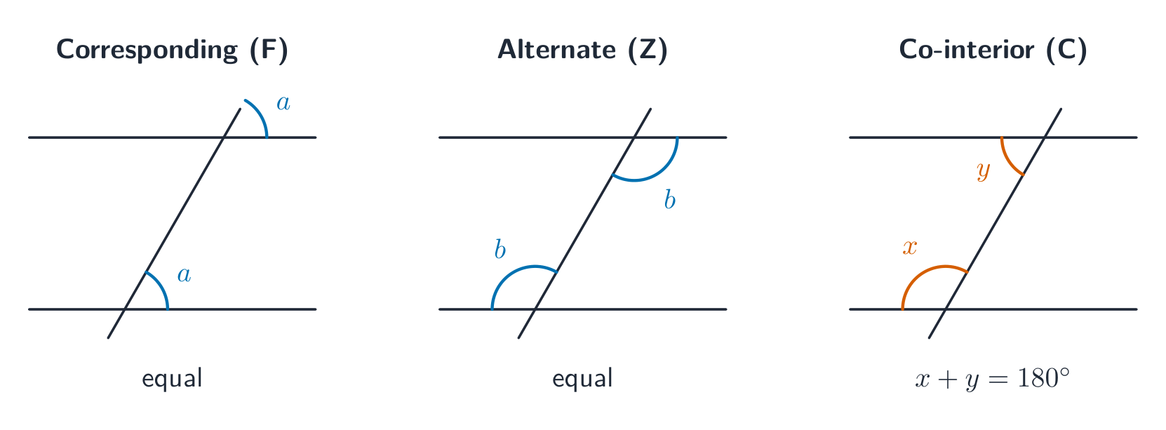 Two parallel lines crossed by a transversal, shown three times: corresponding angles in an F-shape, alternate angles in a Z-shape, and co-interior angles in a C-shape