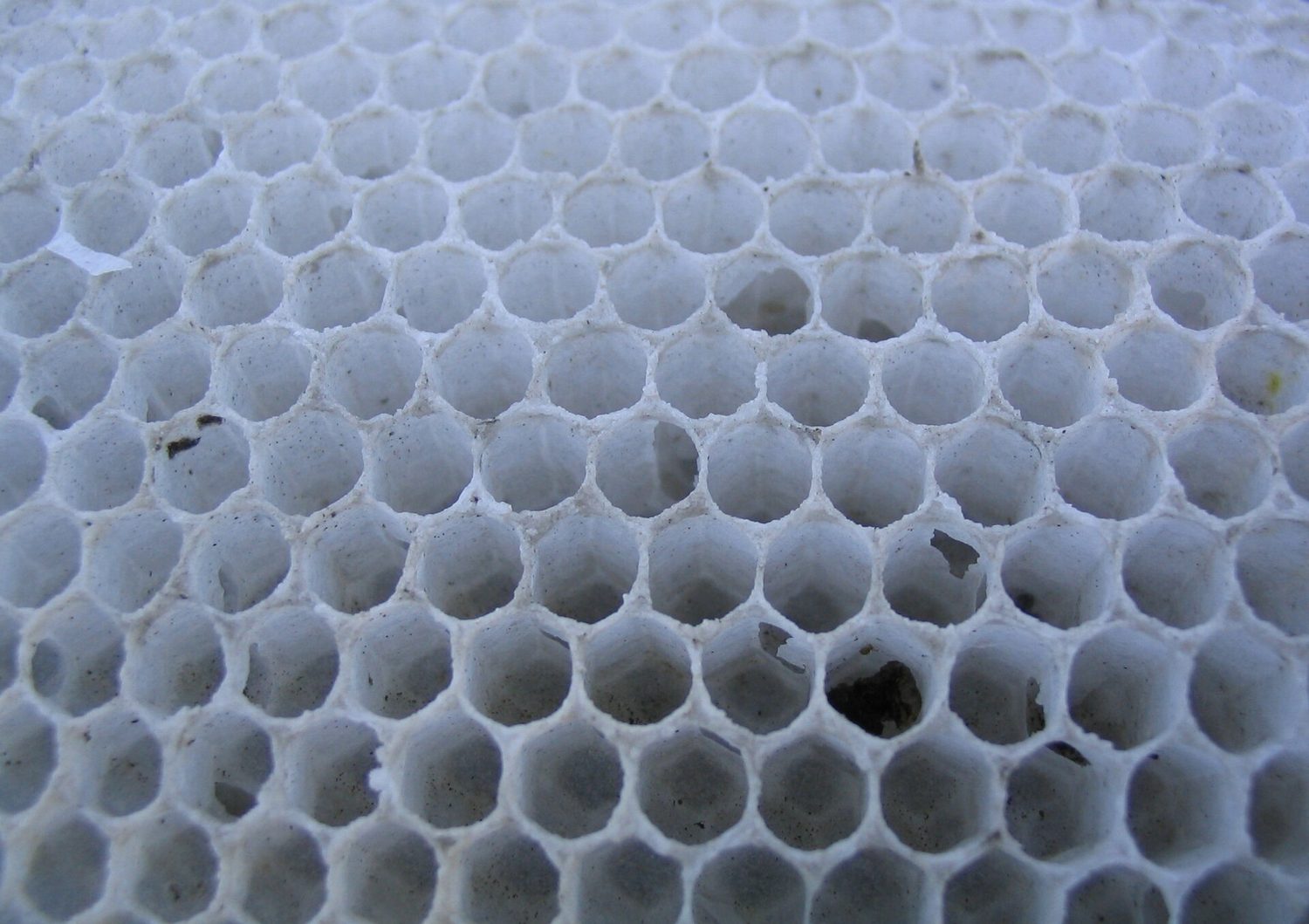 A honeycomb of hexagonal cells
