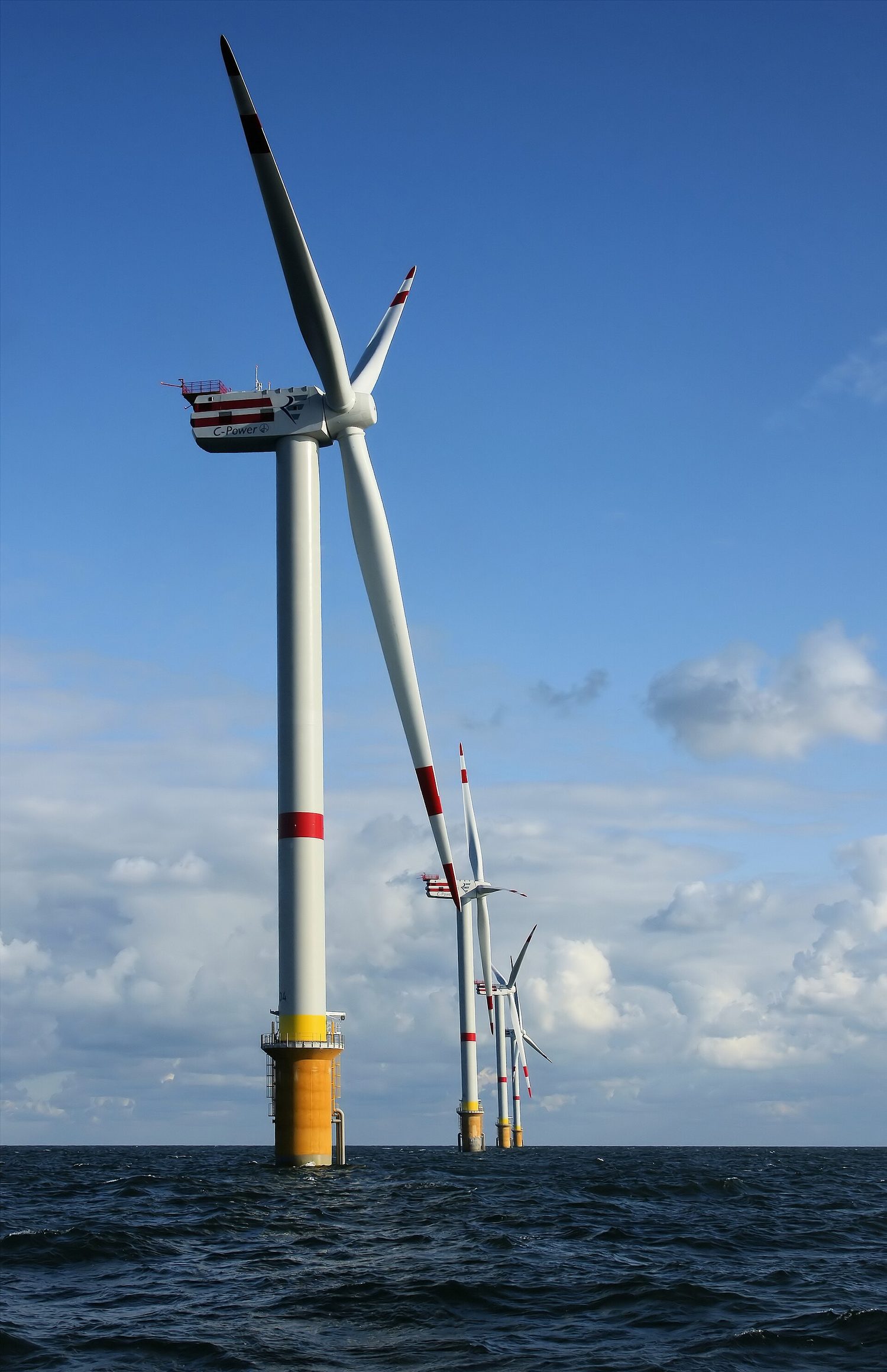 A row of tall white wind turbines standing in the sea under a blue sky