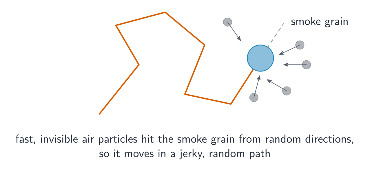 A large smoke grain on a jerky, zig-zag path, knocked about by small fast air particles