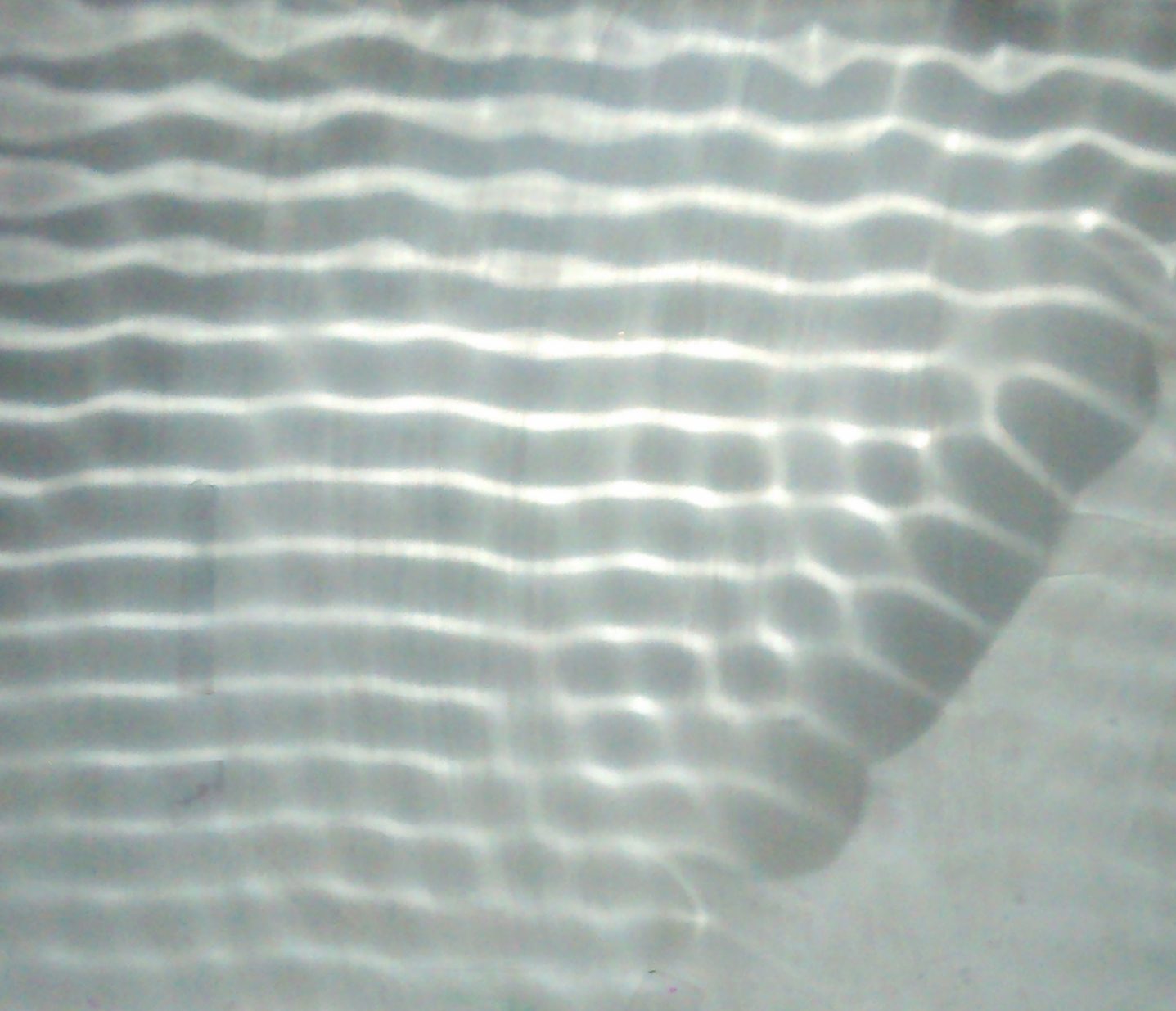 Plane water waves in a ripple tank reflecting off a straight barrier