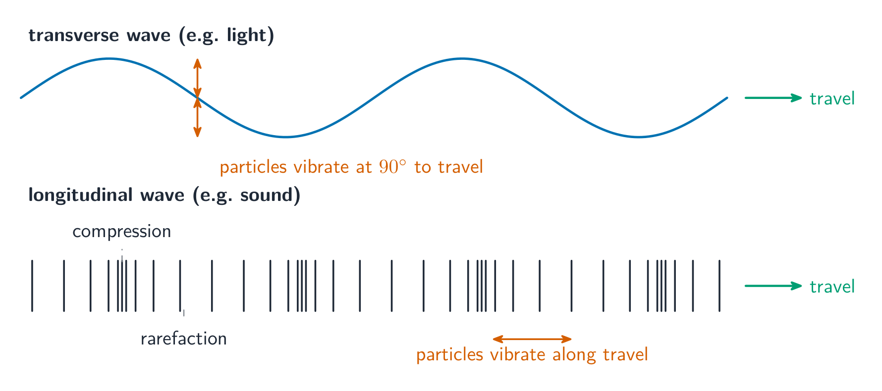 A transverse wave above a longitudinal wave, showing how the particles move in each