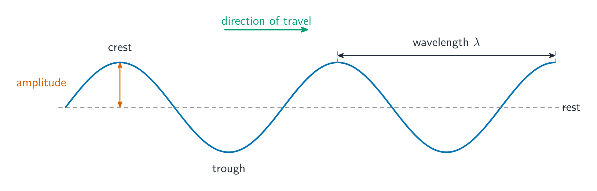 A transverse wave with the wavelength, amplitude, crest, trough and direction of travel labelled