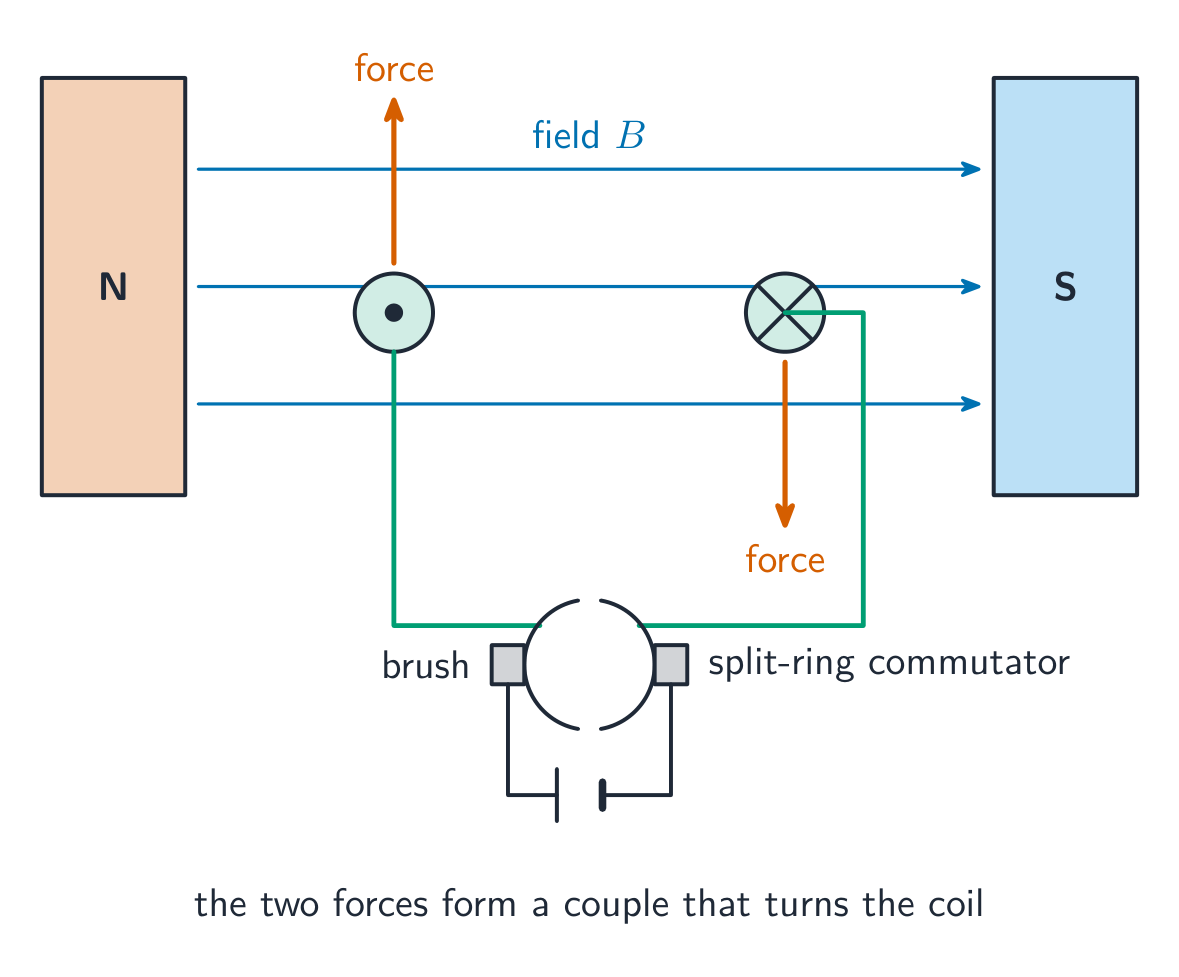 A coil between magnet poles with opposite forces on its two sides, a split-ring commutator, brushes and a battery