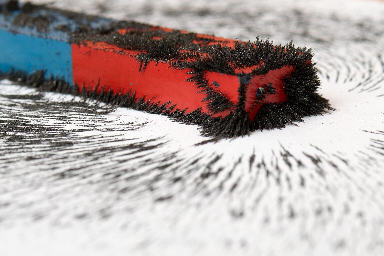 Tiny iron filings on white paper lining up into curved lines around a red and blue bar magnet
