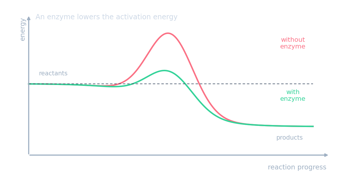 Perfil energético: una gran elevación sin enzima y una elevación más baja con enzima, uniendo los mismos reactivos y productos