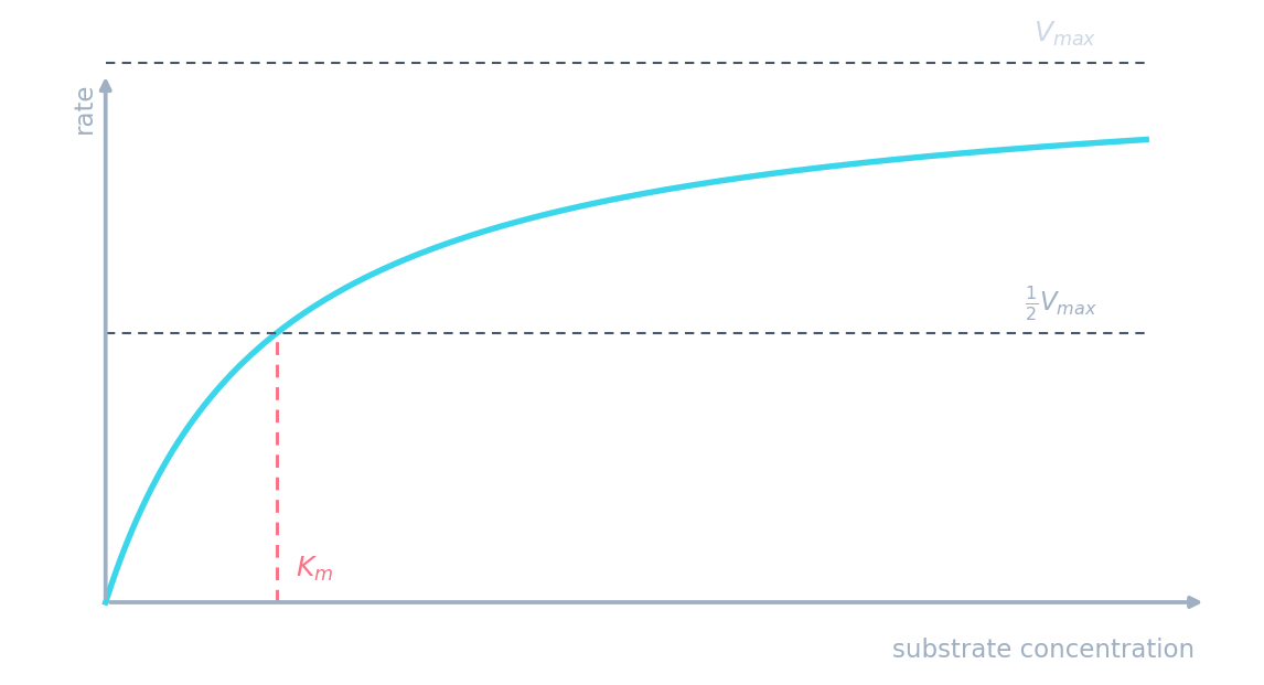 Curve of rate vs substrate concentration rising to a plateau at Vmax, with half-Vmax and Km marked