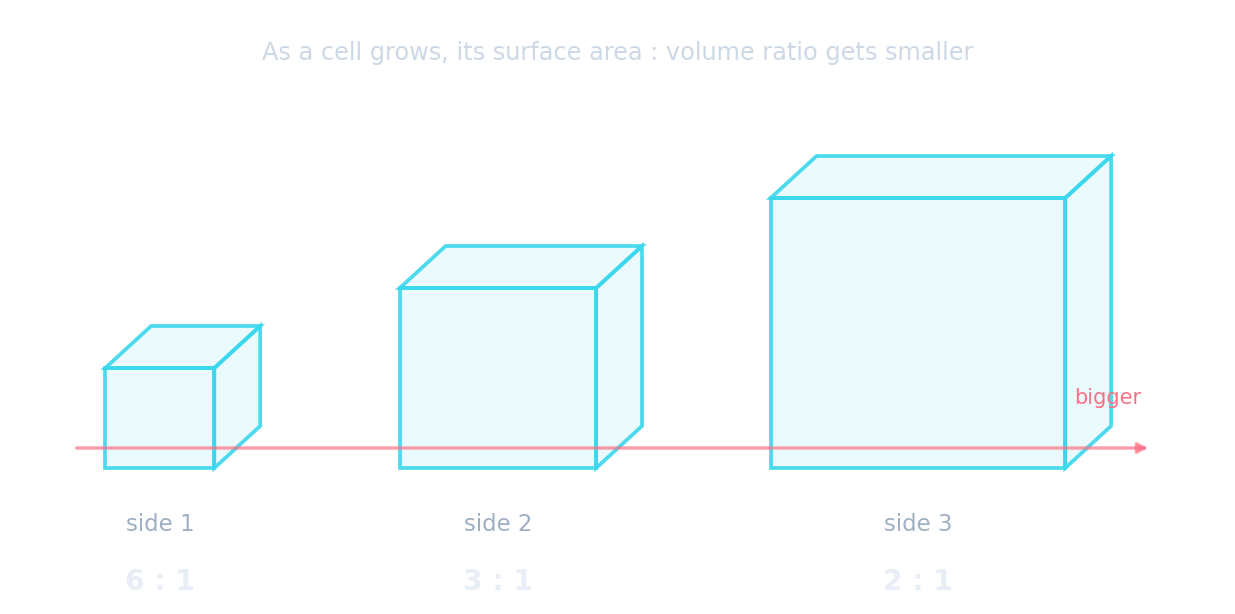 Tres cubos de lados 1, 2 y 3 con relaciones superficie-volumen de 6:1, 3:1 y 2:1, disminuyendo a medida que crece el cubo