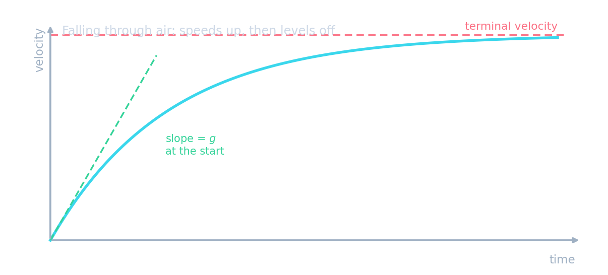A velocity–time graph for a fall through air: the speed rises with an initial slope of g, then curves and levels off at the terminal velocity shown as a dashed line