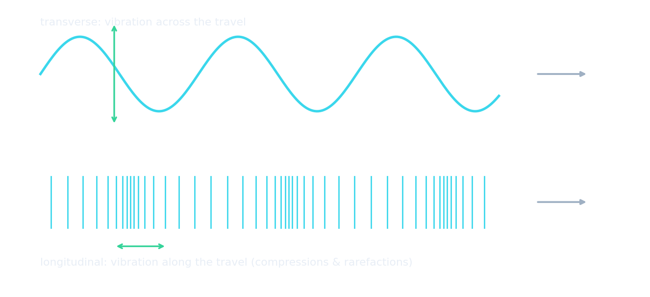 Top: a transverse wave on a rope, each part vibrating up and down while the energy moves sideways. Bottom: a longitudinal wave on a slinky, with compressions and rarefactions and the coils vibrating back and forth along the travel