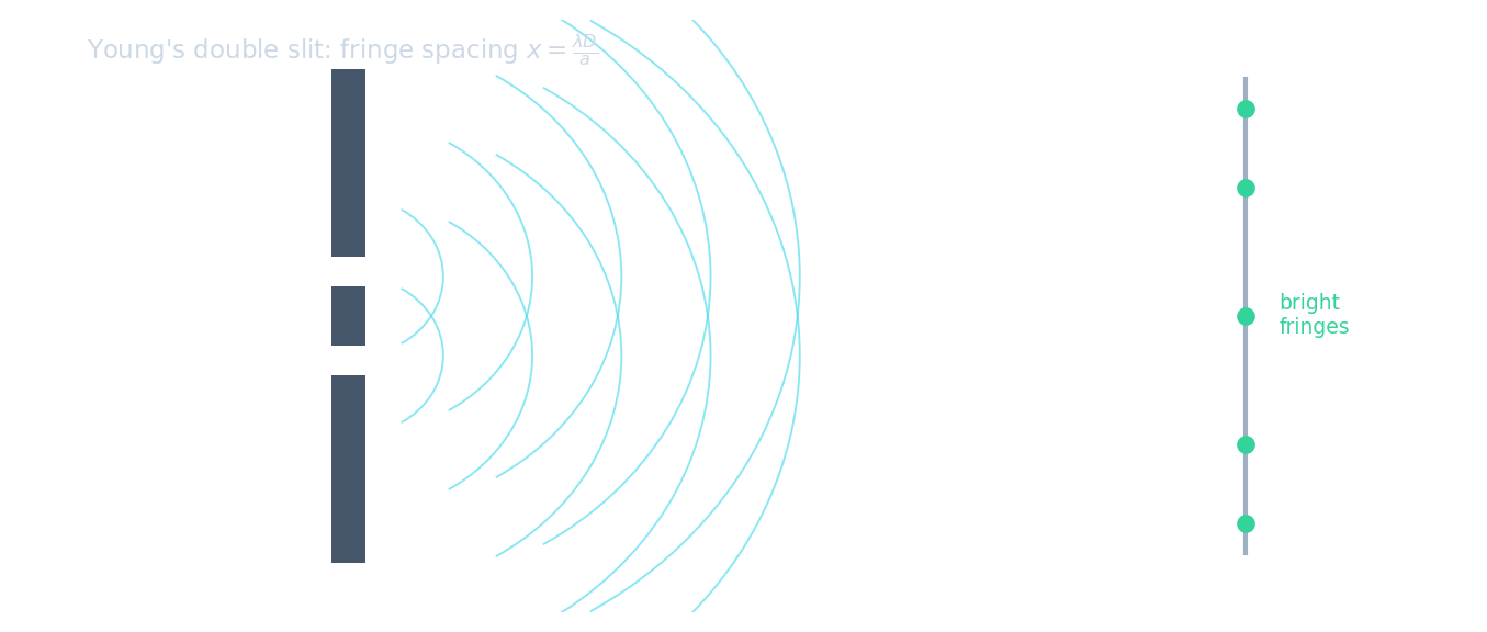Light through two slits spreads and overlaps, making equally spaced bright fringes on a distant screen