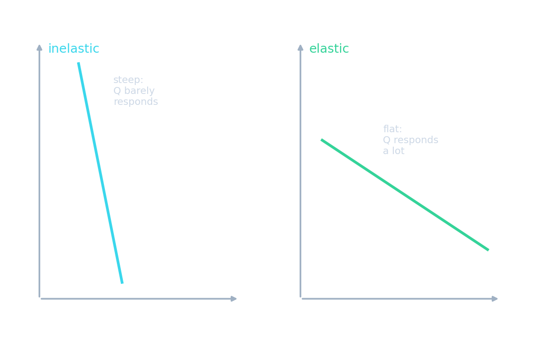 A steep (inelastic) curve beside a flat (elastic) one