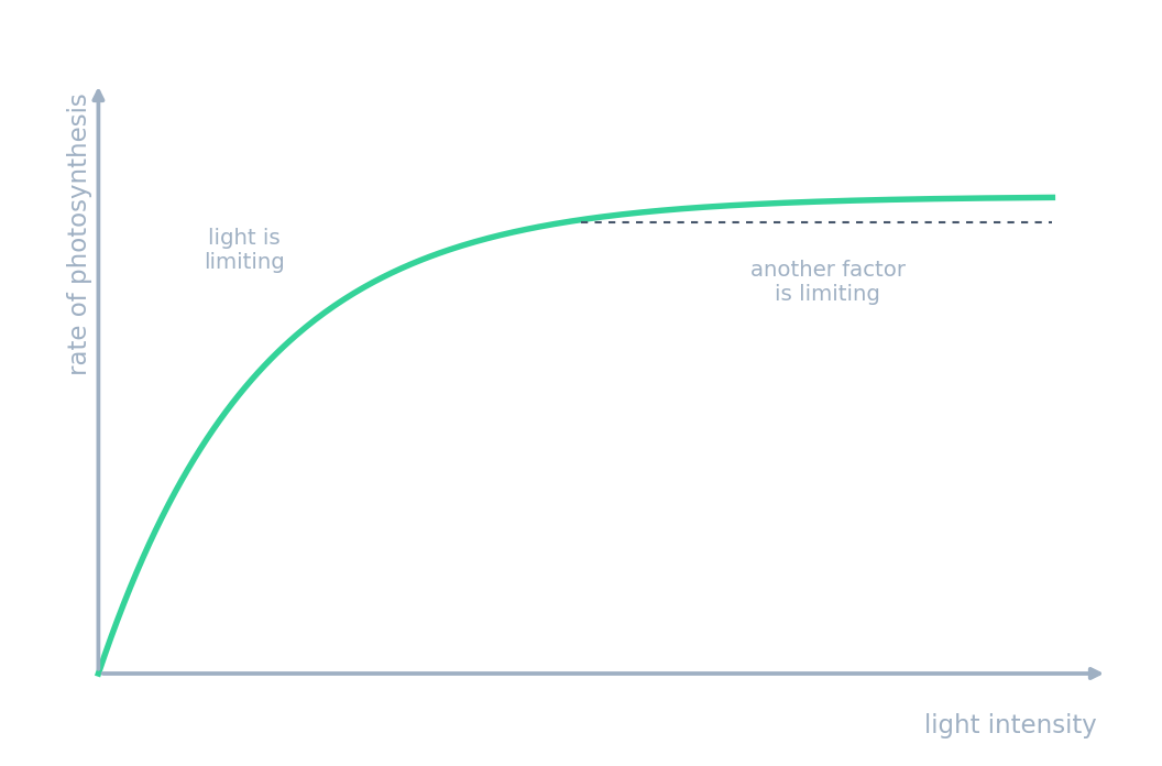 Rate of photosynthesis rising with light intensity, then levelling off when another factor limits it