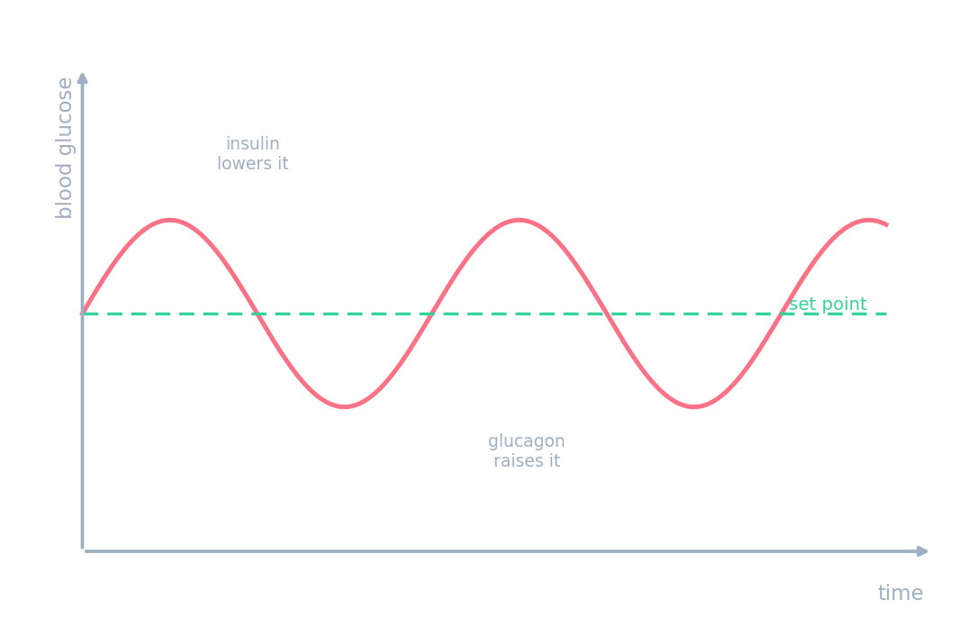 Glycémie oscillant autour d'une valeur de consigne, élevée par le glucagon et abaissée par l'insuline