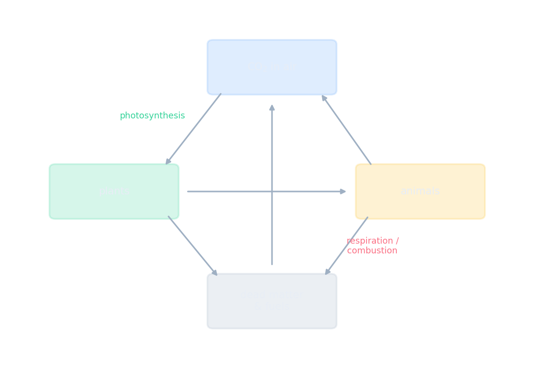The carbon cycle: carbon moving between the air, plants, animals and dead matter