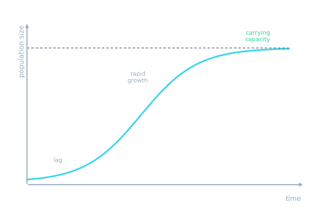 A population growth curve: lag phase, rapid growth, then a plateau at the carrying capacity