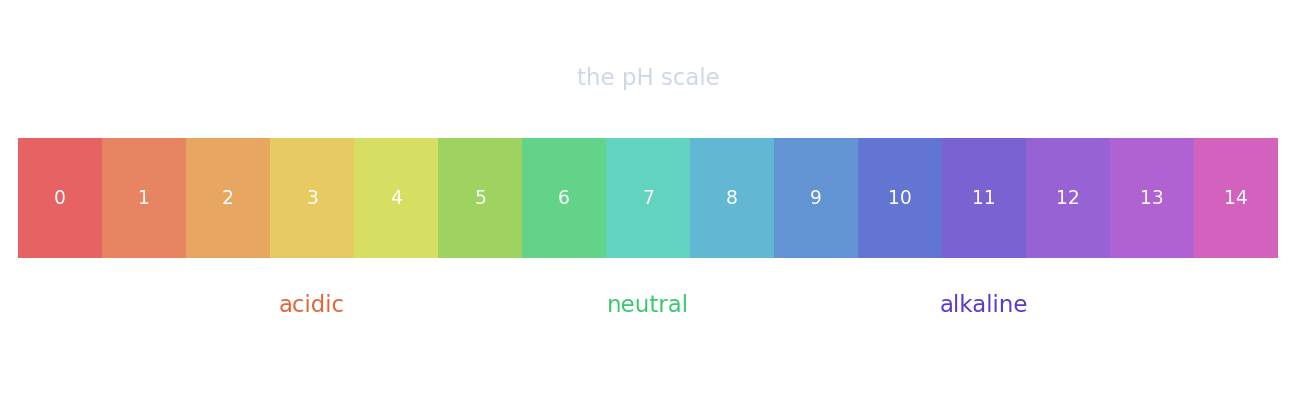The pH scale from 0 to 14, coloured red (acidic) through green (neutral) to purple (alkaline)